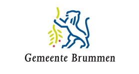 logo gemeente Brummen